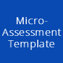 Micro-Assessment Template